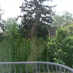 Levente