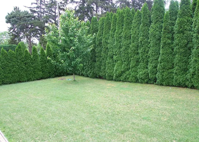 Levente Balatongyörök